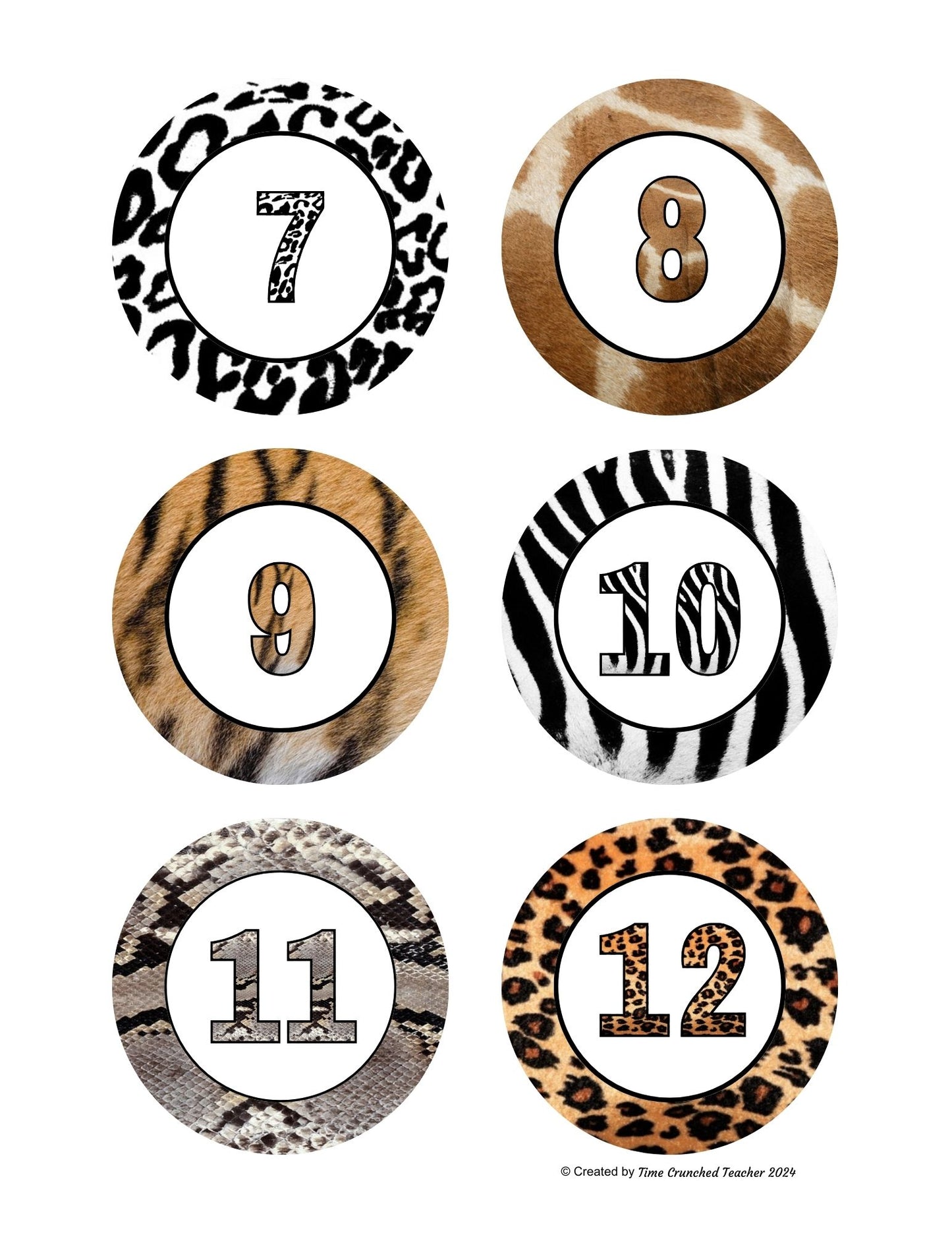 Animal Print Calendar Numbers | Numbers 1-31 | Just Print and Go!