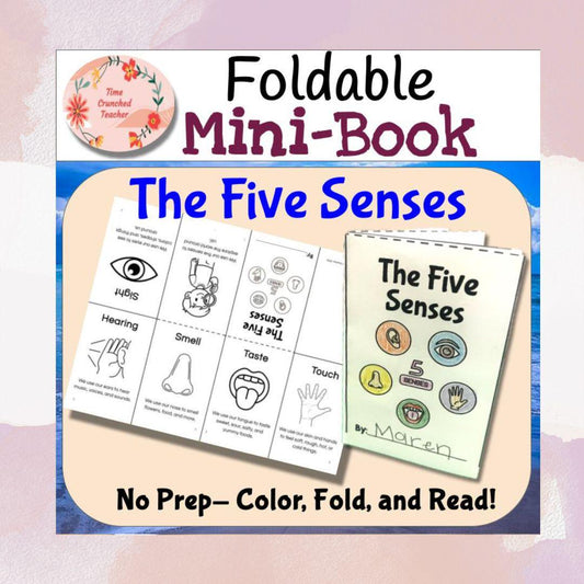 Printable Five Senses Mini Book | Five Senses Lesson for Kids | Five Senses Craft for School or Homeschool Lesson | Digital Download