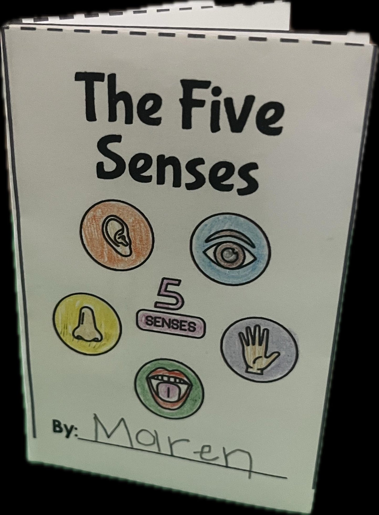 Printable Five Senses Mini Book | Five Senses Lesson for Kids | Five Senses Craft for School or Homeschool Lesson | Digital Download
